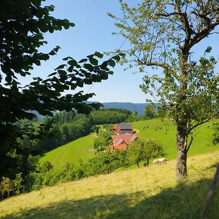 Vogesenblick