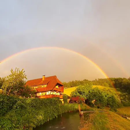 Vogesenblick